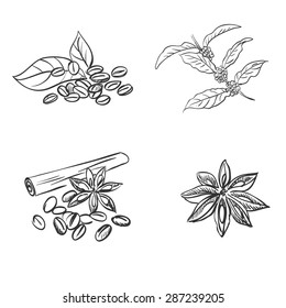 doodle coffee beans, excellent vector illustration, EPS 10