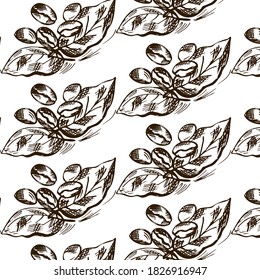 Doodle coffee beans. Painting on a white background. Vector illustration.