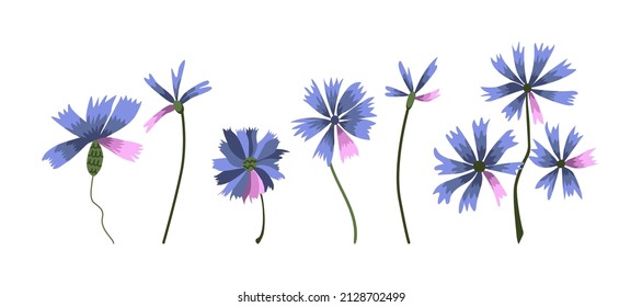 Colección de caramelos de flores azules. Conjunto vectorial de elementos florales.