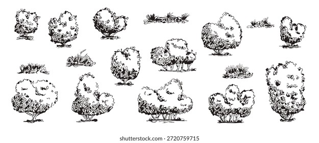 Coleção de rabiscos de arbustos, sebes de grama em contornos pretos simples. Vetor jardim vegetação conjunto arbusto silhuetas árvore isolado no fundo branco.