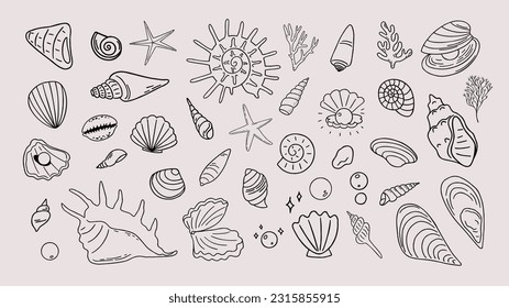 Doodle collection with seashells, shells, mollusk, coral, starfish, pearl, mussel, oyster etc. Line art sea life illustration