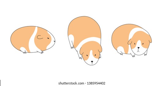 Doodle collection of several sketch guinea pigs isolated on white background. Set of hand drawn domestic cavy rodent pet. Vector illustration