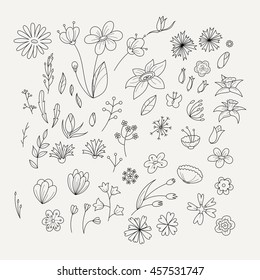 Doodle collection with various doodle flowers, leaves and branches. Simple floral set.
