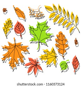 doodle color autumn leafs on the white background