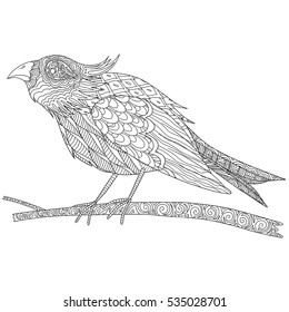 Doodle coloring book for adult with bird on tree branch. Bird with a crest.