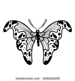 Doodle Coloring Book Cute Moths Children Stock Vector (Royalty Free ...