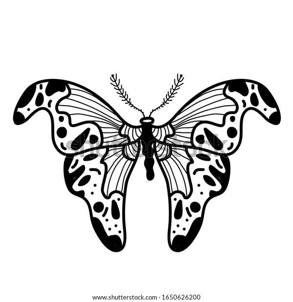 子どもや大人向けのかわいい蛾を使った落書き風の塗り絵本 黒い輪郭虫のベクターイラスト のベクター画像素材 ロイヤリティフリー