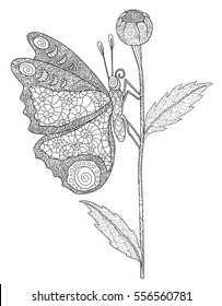 Doodle coloring book with flower bud and butterfly isolated on a white background.