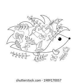 Doodle coloring book for kids. Cute hedgehog with mushrooms and plants. Vector illustration