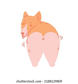 Doodle Corgi dog. Cute Welsh Corgi Vector. Cartoon illustration isolated on white background. Funny corgi shaking butt.
