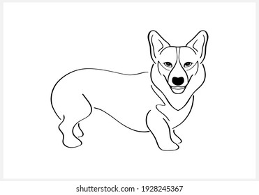 Doodle corgi dog isolated on white. Coloring page book. Cartoon vector stock illustration. EPS 10