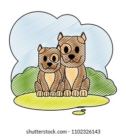 doodle couple dog cute animal in the landscape
