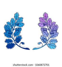 Doodle couple flowers or grass. Colored vector illustration isolated on white background