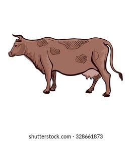 Doodle cow. Isolated in white background. Excellent vector illustration, EPS 10