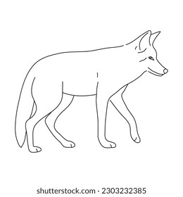 Doodle of Coyote. Hand drawn vector illustration.