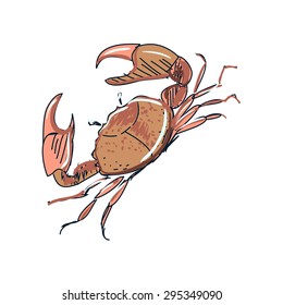 doodle crab, isolated in white background, excellent vector illustration, EPS 10