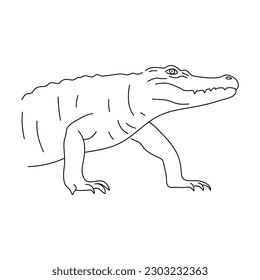 Doodle of Crocodile. Hand drawn vector illustration.