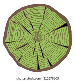 doodle cross section of tree trunk, vector