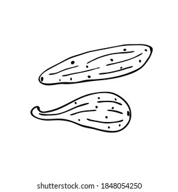 Doodle cucumbers. Hand-drawn images. Vector for posters, web, textiles, children's coloring pages.