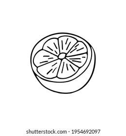 Doodle cut lemon illustration in vector. Hand drawn lemon illustration in vector. Cut lemon hand drawn illustration. Doodle lemon icon in vector