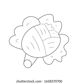 Doodle cute cabbage vegetable, outline veggie illustration, isolated cabbage head in trendy line art sketch style, raw vegetarian food, farming harvest, fresh organic cabbage