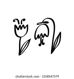 Doodle cute flowers . Vector illustration of a contour isolated on a white background . Design for coloring book, poster, greeting cards, packaging