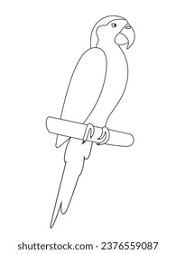 Doodle, süßer Ara einzeln auf weißem Hintergrund. Vektor exotische tropische Papagei. Hausvogel. Farbbild