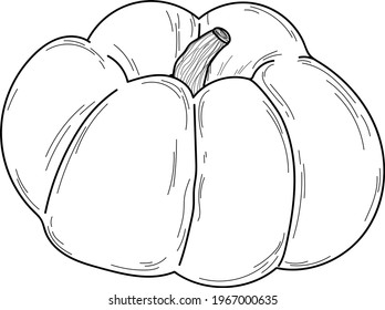 Doodle lindo calabaza línea aislada. Coloración de ilustraciones vectoriales dibujadas a mano. Esbozo para un tatuaje.