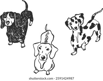 Doodle dachshund dogs, hand-drawn simple line art, ink sketch style