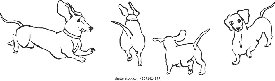 Doodle dachshund dogs, hand-drawn simple line art, ink sketch style