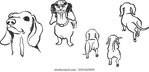 Doodle dachshund dogs, hand-drawn simple line art, ink sketch style