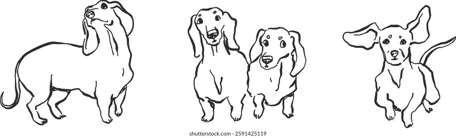 Doodle dachshund dogs, hand-drawn simple line art, ink sketch style