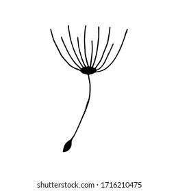 Doodle dandelion seed. hand drawn of a dandelion seed isolated on a white background. Vector illustration sticker, icon, design element