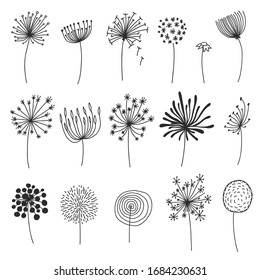 Doodle dandelion set. Hand drawn blowballs or flowers with fluffy seeds, floral silhouettes design elements