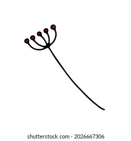 Doodle delicate twig. Hand-drawn cute plant isolated on white background. Herb with small red buds. Vector floral illustration for interior, gardening, holiday, wedding. Minimalistic botanical poster