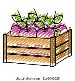 doodle delicious apple fruit inside wood basket