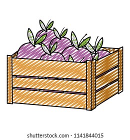 doodle delicious eggplants vegetables inside wood box