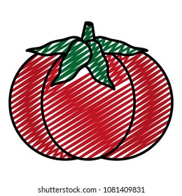 doodle delicious fresh tomato vegetable food