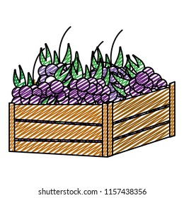 doodle delicious grapes fruit inside wood basket