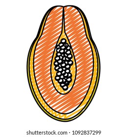 doodle delicious slice papaya organic fruit