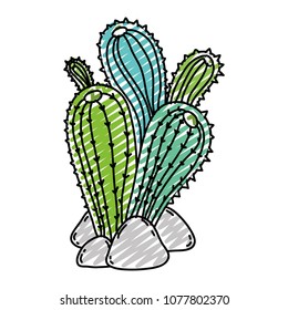 doodle desert cactus plant with nature stones