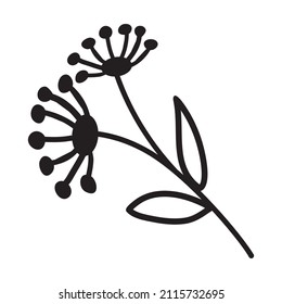 Doodle Dill. Illustration of Nature, Plant Elements, Flowering for coloring