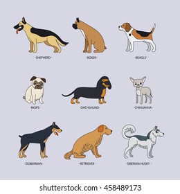 Doodle dog breeds colored flat icons set. Vector illustration