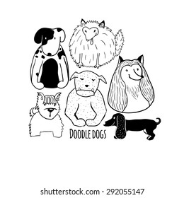 Doodle dogs. 