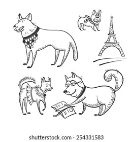 Doodle dogs set. Vector illustration.