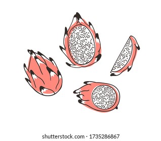 Doodle dragonfruit. Hand drawn stylish fruit and vegetable. Vector artistic drawing fresh organic food. Summer illustration vegan ingrediens for smoothies