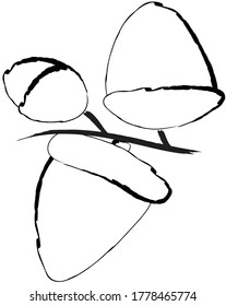 Doodle drawing image of acorns, vector item illustration for autumn