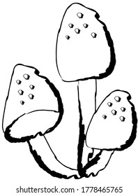 Doodle drawing image of mushroom, vector item illustration for autumn