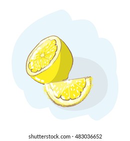 Doodle drawing of a sliced lemon. Slices of a citrus fruit. Vector illustration.