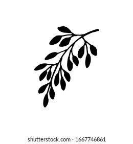 Doodle drawing sprig with leaves, plant design element. A casual sketch by hand in black ink. Vector illustration isolated on white background.